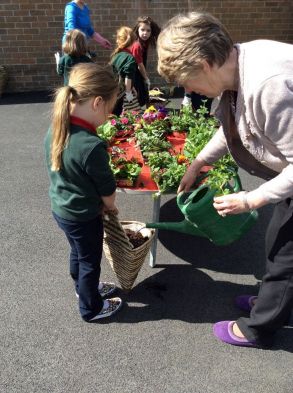 Planting seeds in Primary 1 and 2